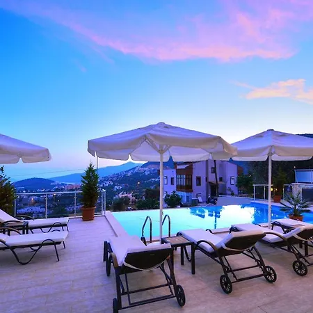 Villa Roza 1 *